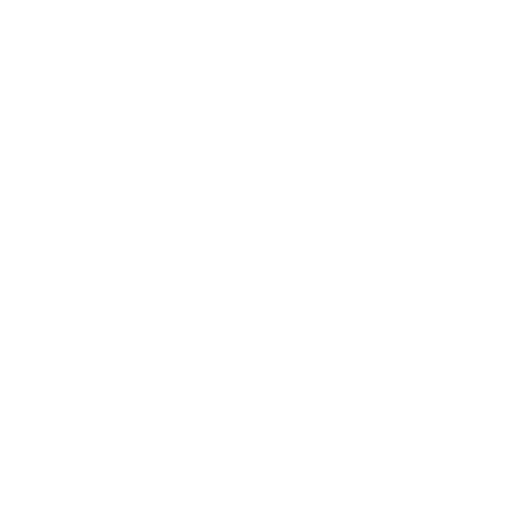 DevDennis logo met tekst